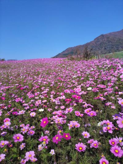 年間休日120日＋計画年休5日